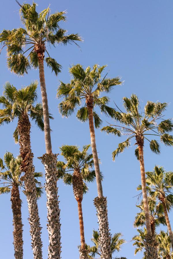 Sonder at FOUND Santa Monica Hotel Los Angeles Eksteriør billede